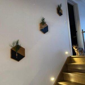 2 Pcs MDF Wooden Wall Planters in Pakistan – Stylish Indoor Greenery Décor